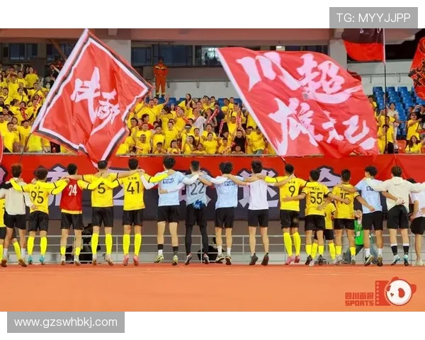 飞盘纪实：见证成都飞盘队从萌芽到辉煌的奋斗与成长之路